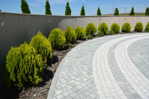 Best Permeable Paver Driveway  in Ilchester, MD